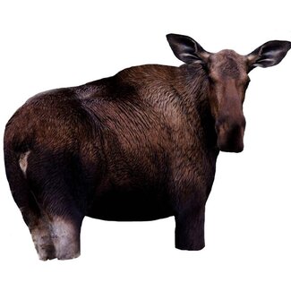 Decoy, Montana Moose II