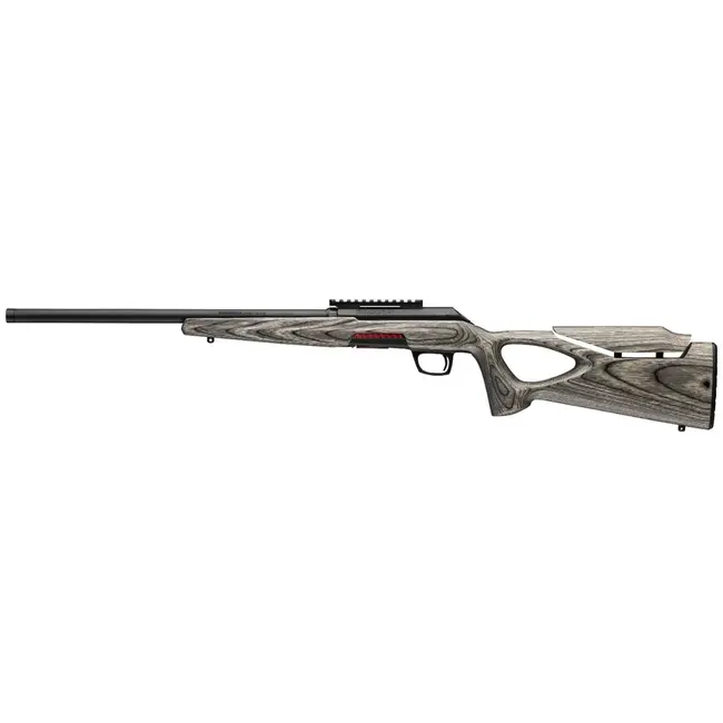 Winchester Xpert Thumbhole Target Gray SR 22 Lr.