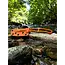 HUTO Lifestyle Exo-Skeleton Knife Orange
