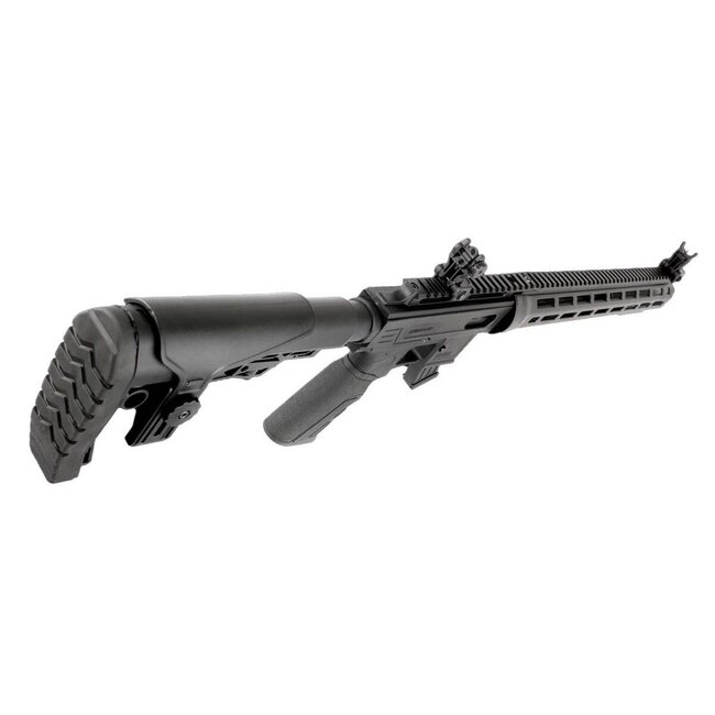 Derya Arms TM22 Flash 22 Lr. 18" Black