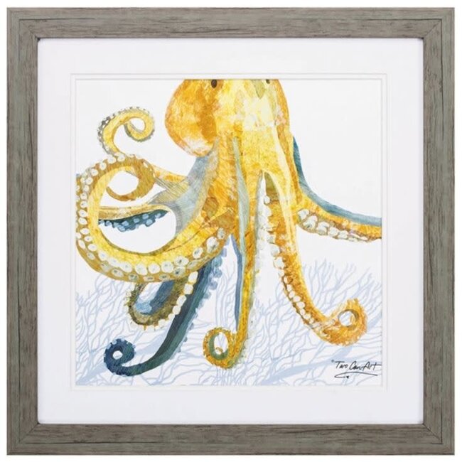Sea Creature Octopus