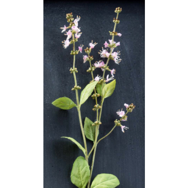 Crafted Blooming Basil Stem