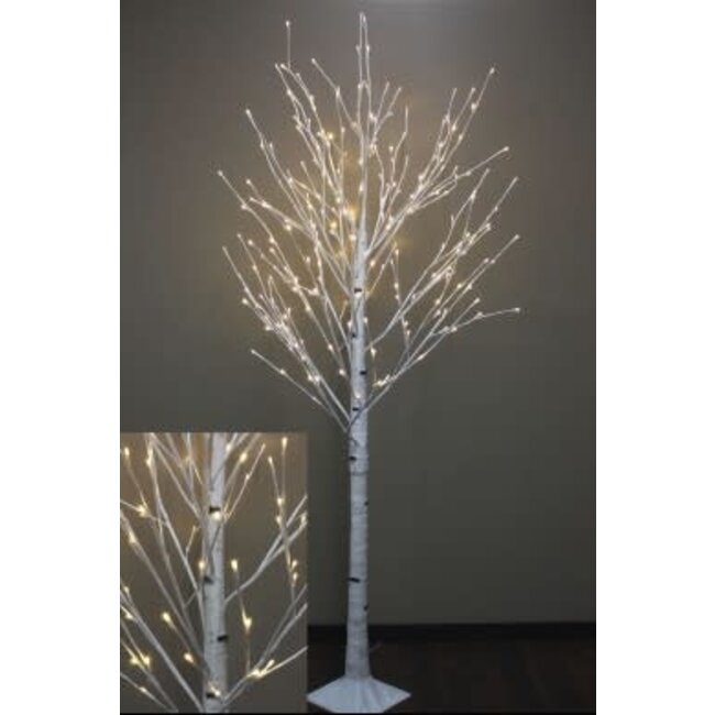 White Birch Tree, 8 FT