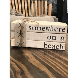 Somewhere on a Beach Books