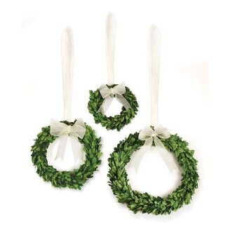 Boxwood Wreath w/Ribbon