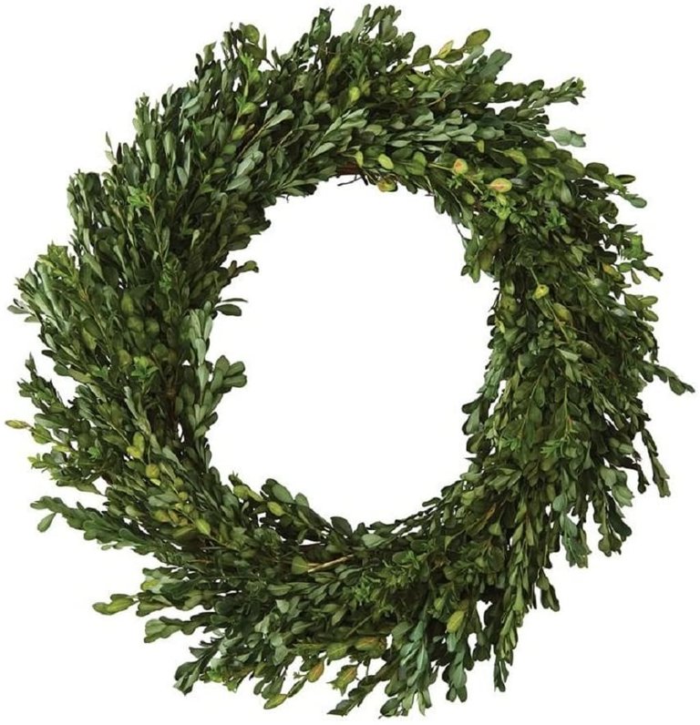 Preserved Boxwood Wreath, 22"