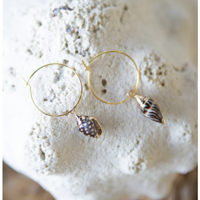 Shell Dangle Earrings
