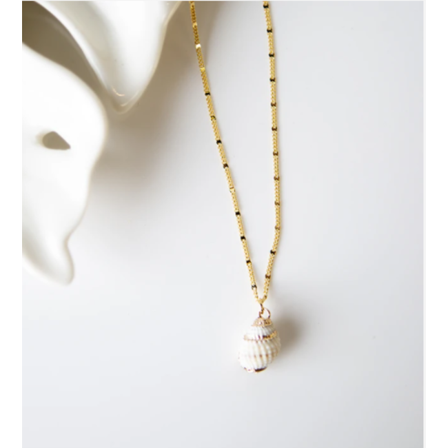 Shell Dangle Necklace