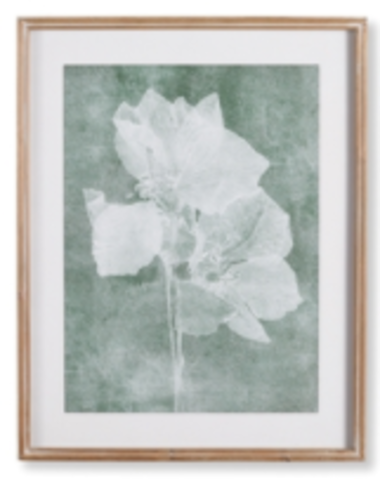 Translucent Floral Prints
