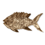 Driftwood Angel Fish Wall Art