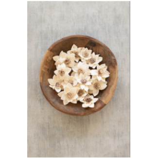 Dried Flowers