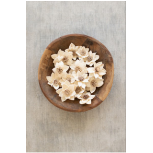 Dried Flowers