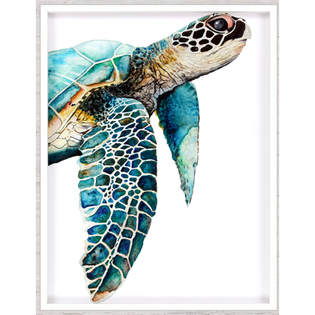 Great Sea Turtle