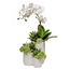 Orchid/Grass In Tiered Vase