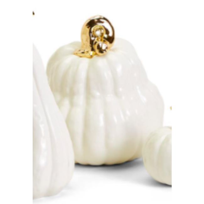 White Pumpkin w/Gold Handle