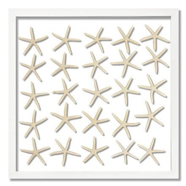 25 Skinny Starfish, White Frame