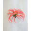Flocking Red Airplant 10"