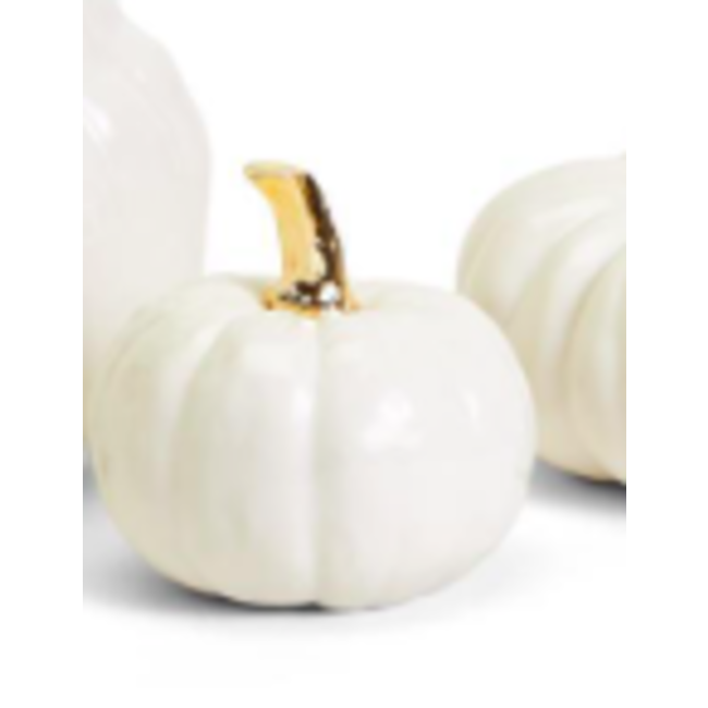 White Pumpkin w/Gold Handle
