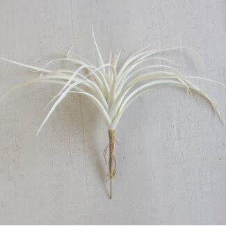 White Air Plant Large