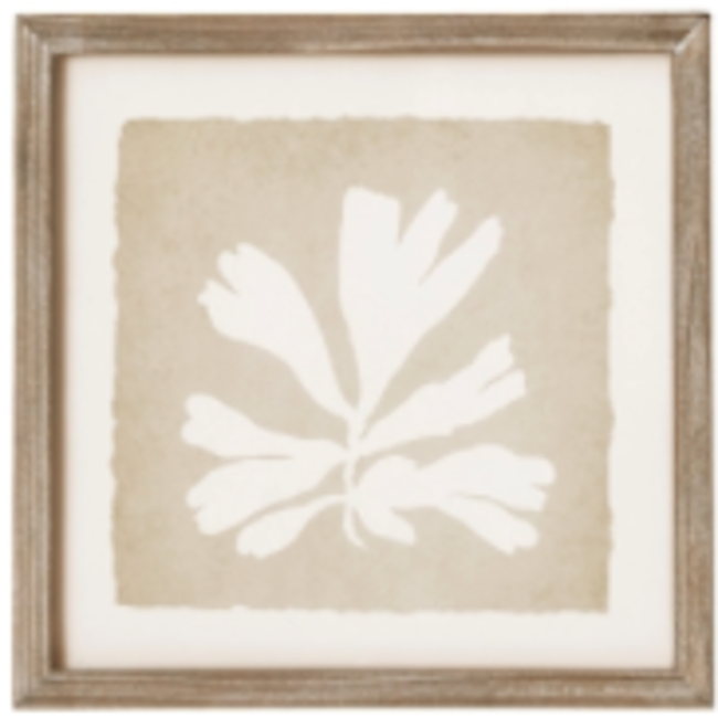 Seaweed Petite Prints Natural