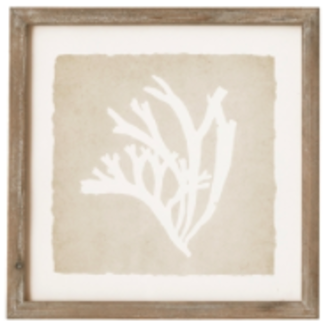 Seaweed Petite Prints Natural