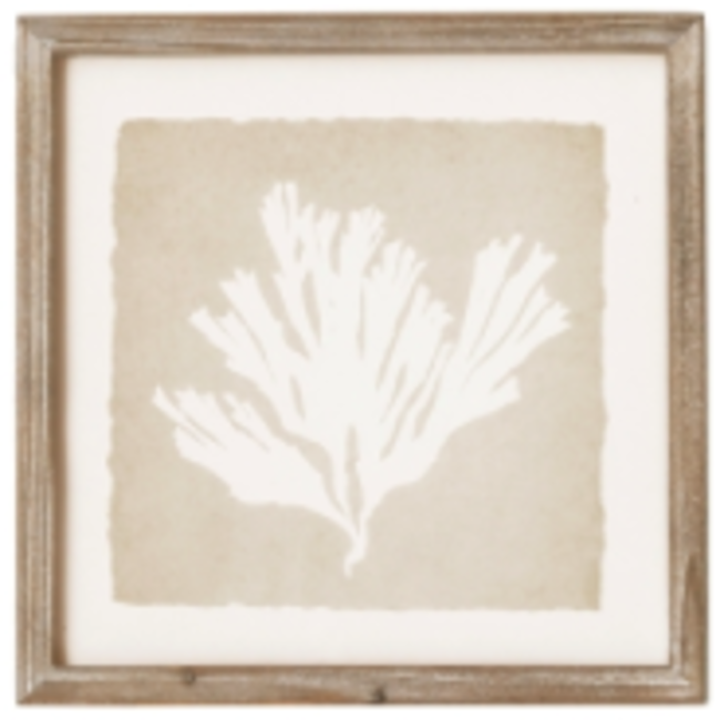 Seaweed Petite Prints Natural