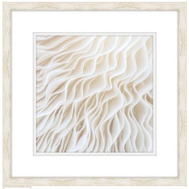 White Coral Artwork