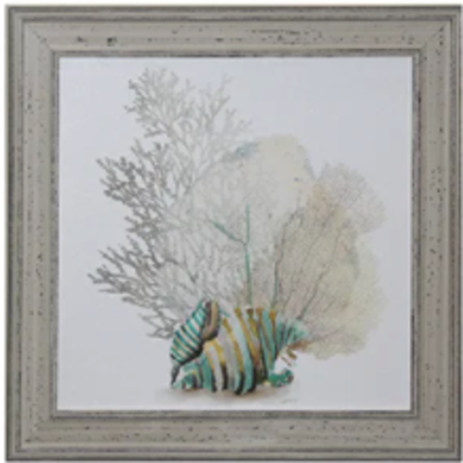 Striped Conch & Grey Seafan Wall Art