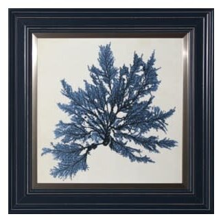 Blue Coral Artwork