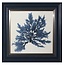Blue Coral Artwork