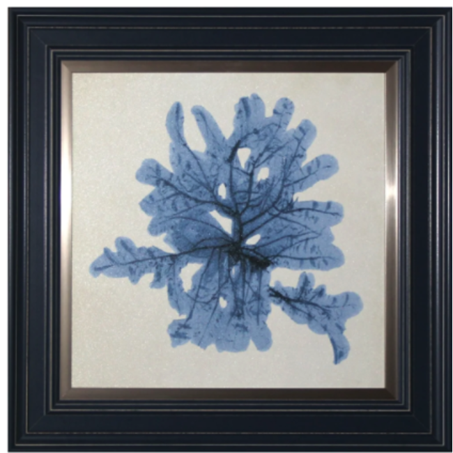 Blue Coral Artwork