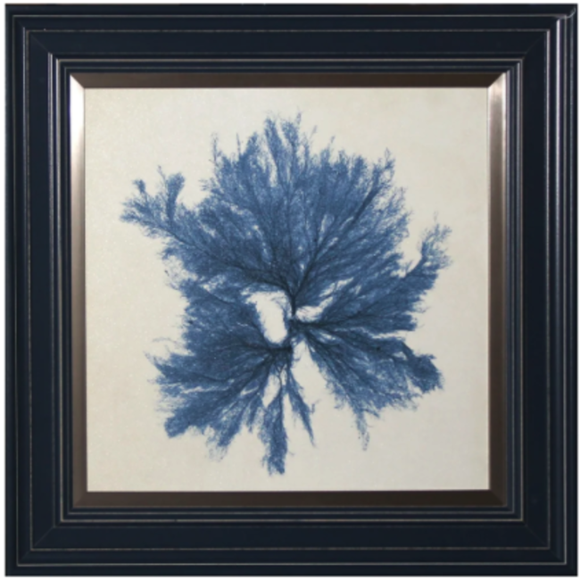 Blue Coral Artwork