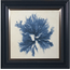 Blue Coral Artwork