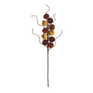 Harvest Pumpkin Stem