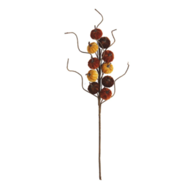 Harvest Pumpkin Stem