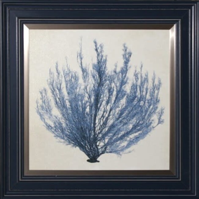 Blue Coral Artwork