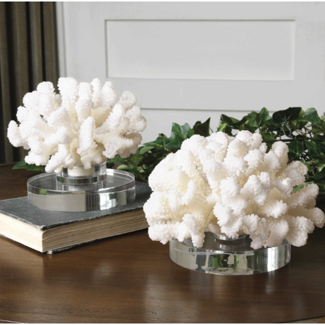 Hard Coral Sculpture