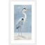 Coastal Calm Wall Art