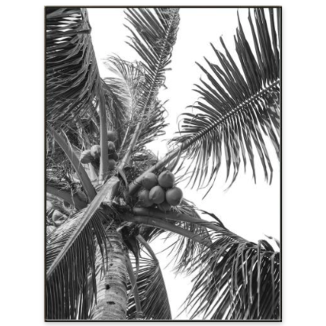 Black and White Palm Tree Wall Art