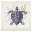 Coastal Ephemera