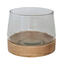 Glass Vase w/ Mango Wood Base