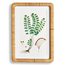 Forest Fern Prints