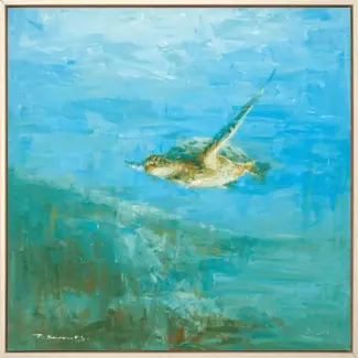 Sea Turtle