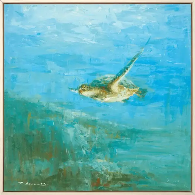 Sea Turtle
