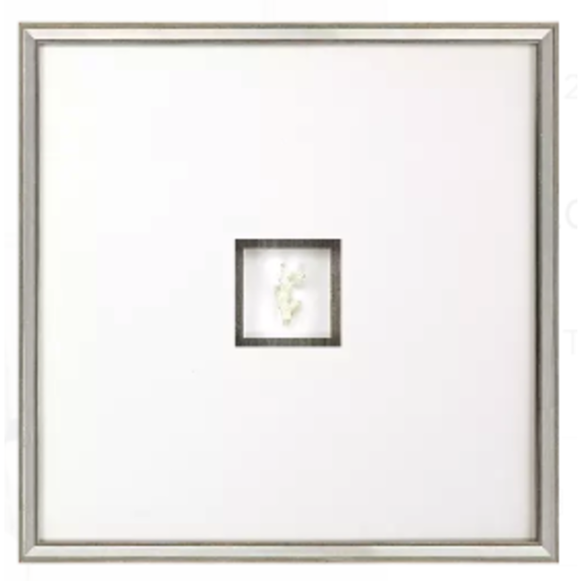 Coral Shadowbox Wall Art II