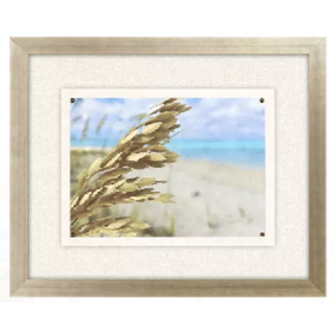 Watercolor Sea Oats Wall Art