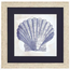 Coastal Sea Shell Wall Art