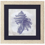 Coastal Sea Shell Wall Art