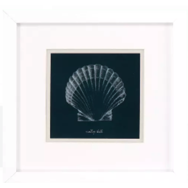 Shell Study On Teal Wall Art