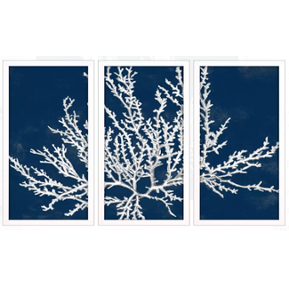 Coastal Coral Artwork S/3